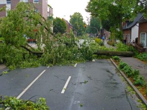 Storm Season Driving Safety