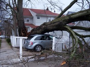 When (and When Not) to File a Homeowner's Insurance Claim